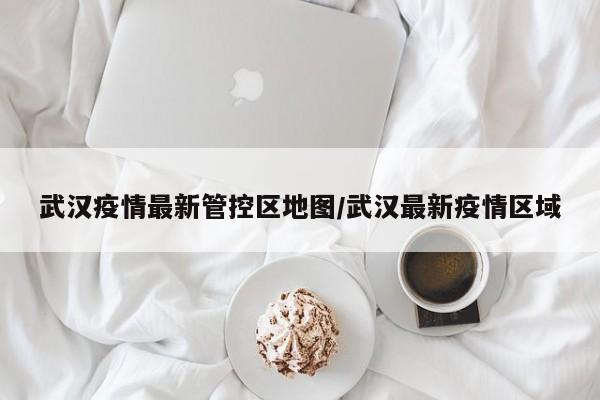 武汉疫情最新管控区地图／武汉最新疫情区域